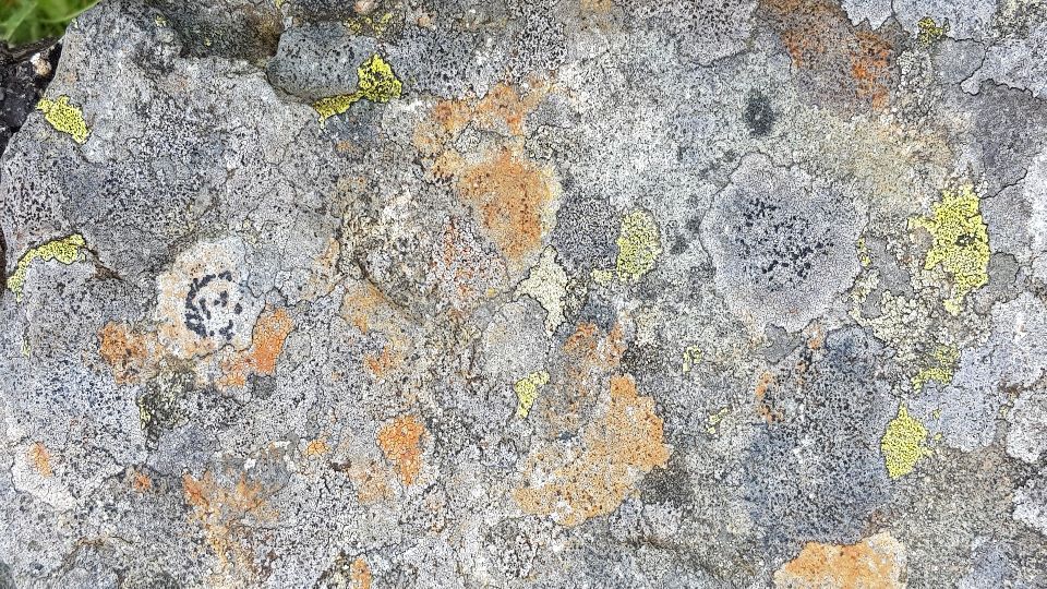 Slideshow 5 - Slide 26